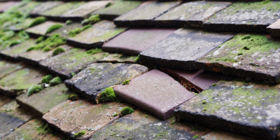 Swineshead roof repair costs